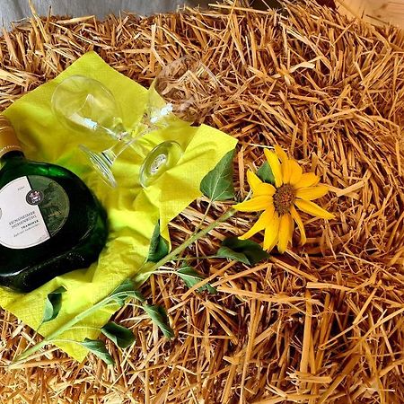 Schlaffass Mit Wellness In Alter Scheune Seinsheim المظهر الخارجي الصورة